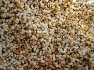 Amaranth