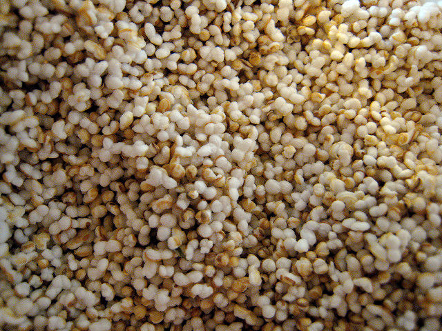 Amaranth – Das Wunderkorn der Inkas